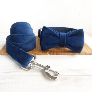 Bow Pet Collar & Leash Set
